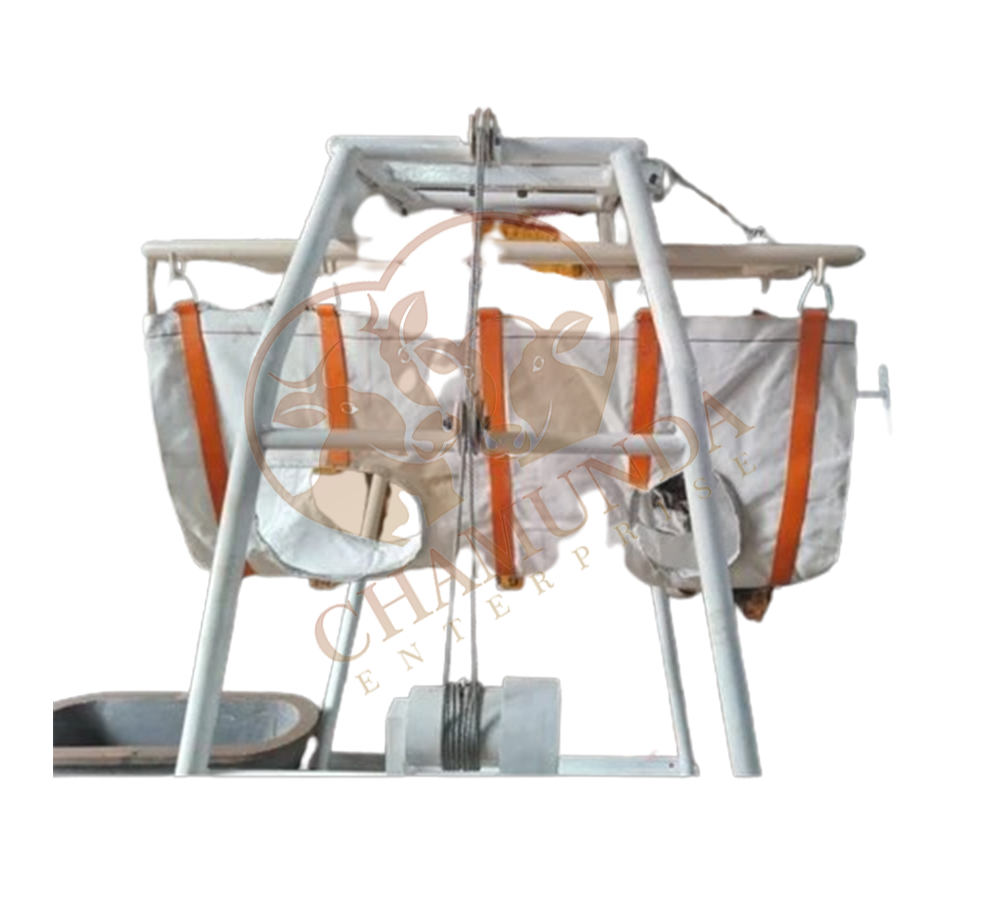 Animal Lifting Travis